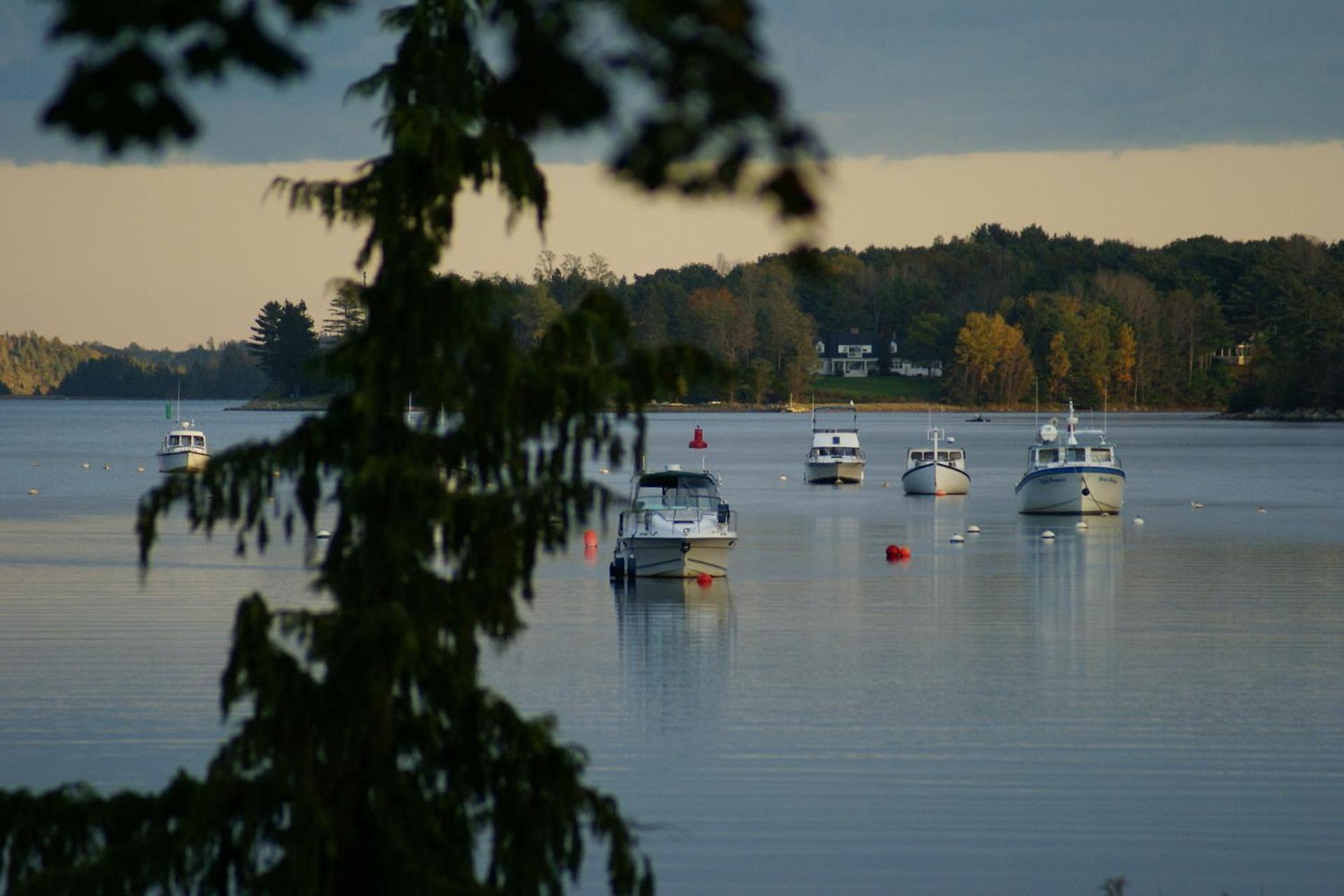 Fisherman'S Daughter B&B Mahone Bay Kültér fotó